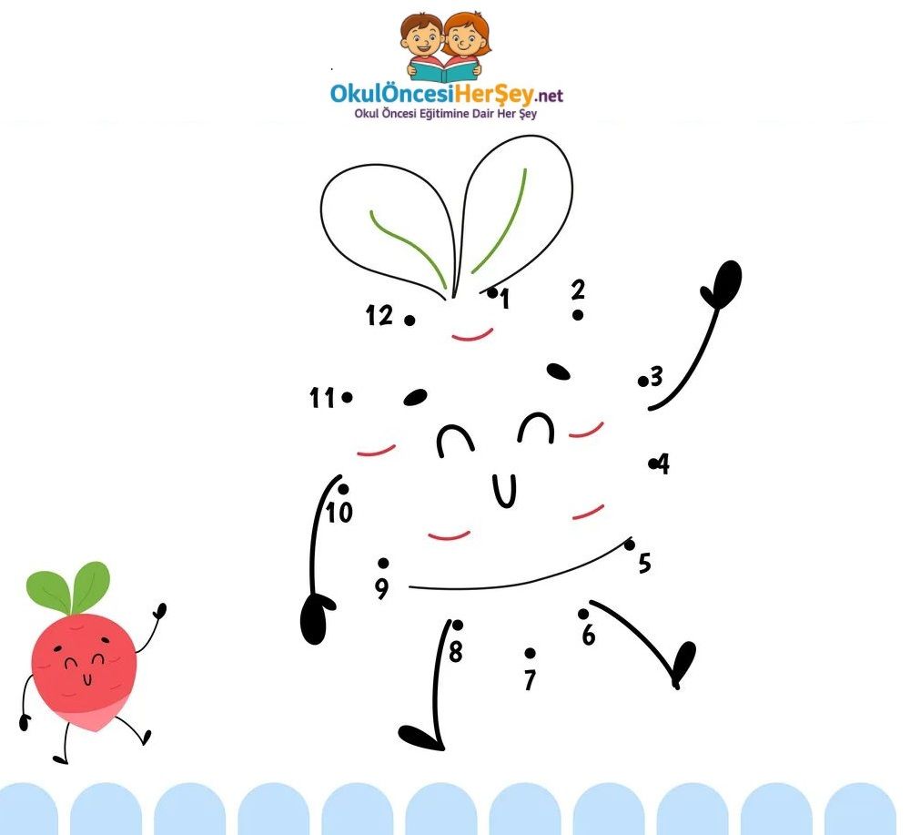 Çizgi Çalışmaları