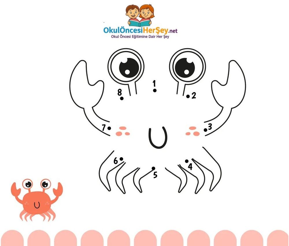 Çizgi Çalışmaları