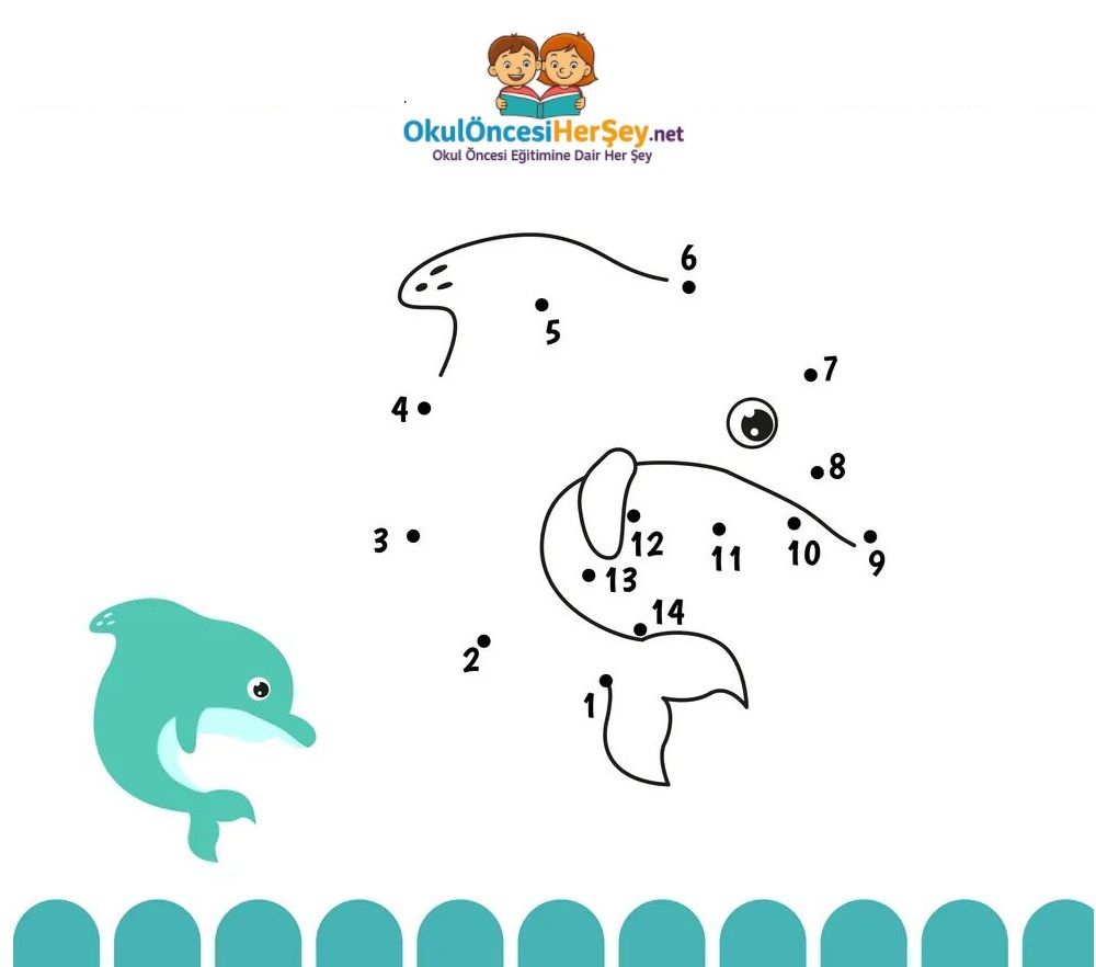 Çizgi Çalışmaları