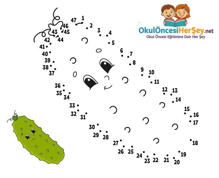 Çizgi Çalışmaları