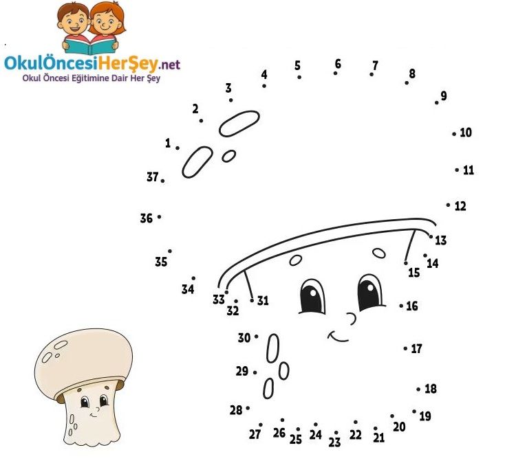 Çizgi Çalışmaları