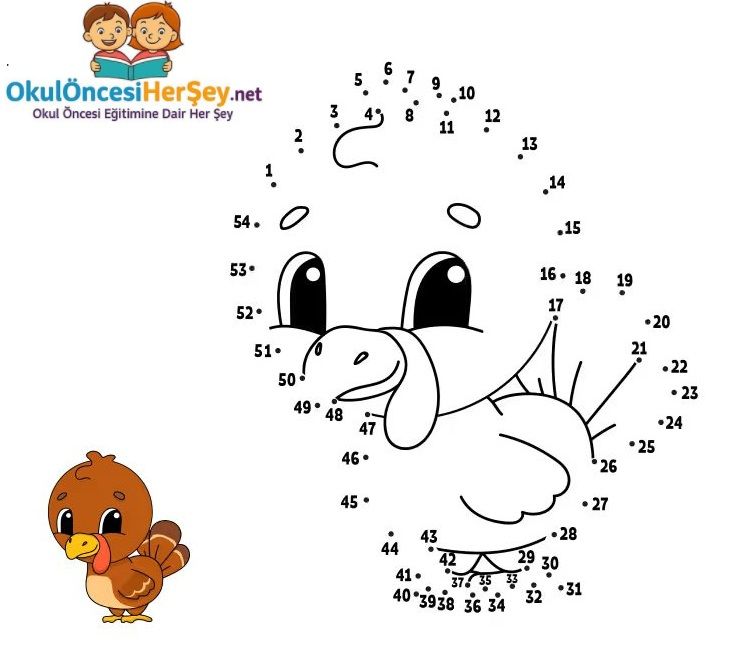 Çizgi Çalışmaları