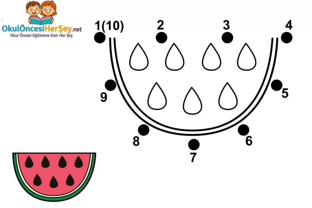 Çizgi Çalışmaları