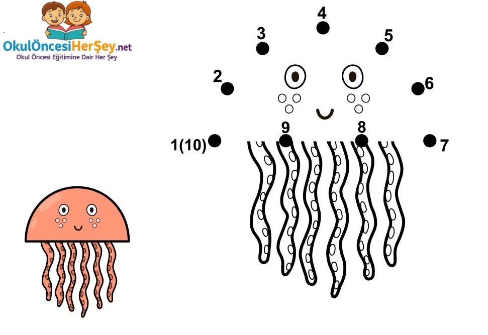 Çizgi Çalışmaları