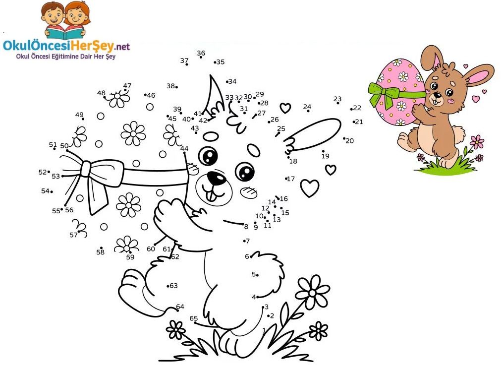 Çizgi Çalışmaları