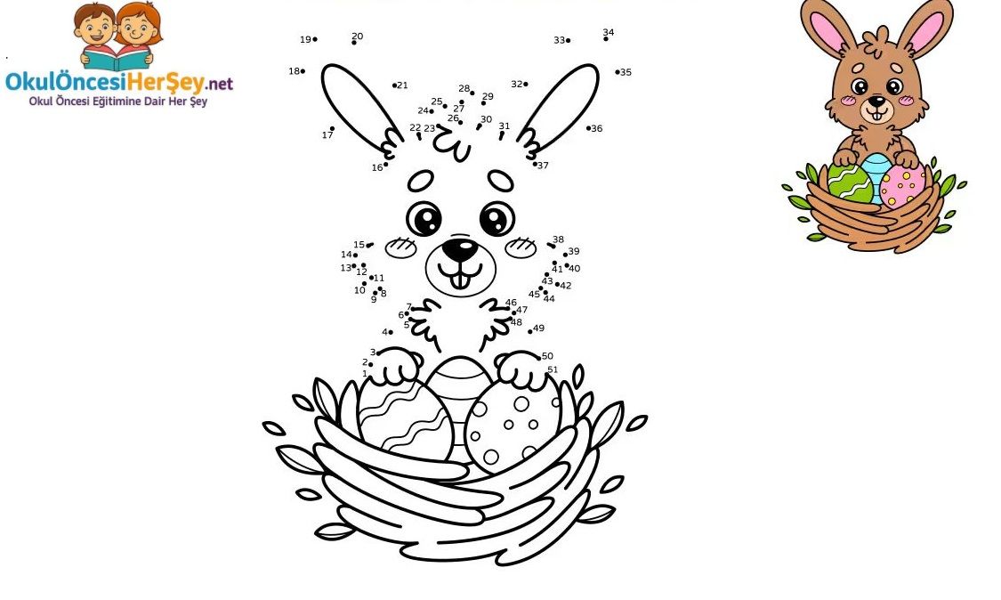 Çizgi Çalışmaları