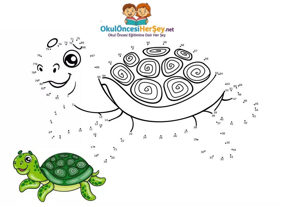 Çizgi Çalışmaları