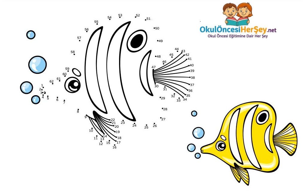 Çizgi Çalışmaları