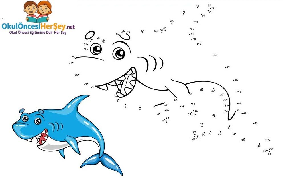 Çizgi Çalışmaları