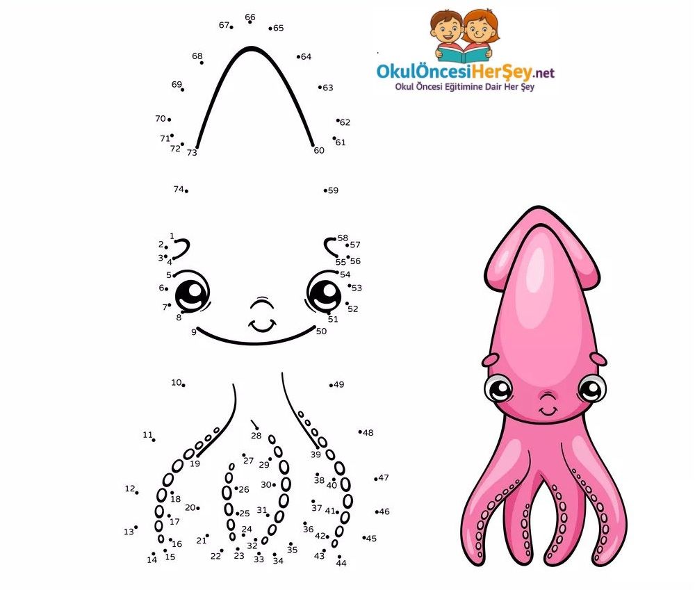 Çizgi Çalışmaları