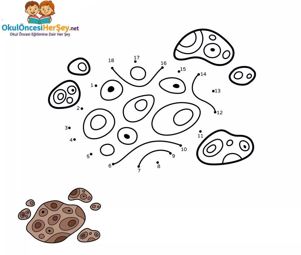 Çizgi Çalışmaları