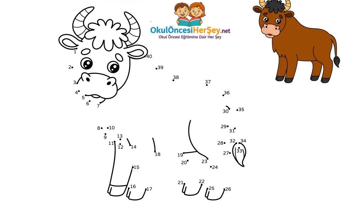 Çizgi Çalışmaları