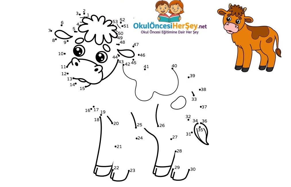 Çizgi Çalışmaları