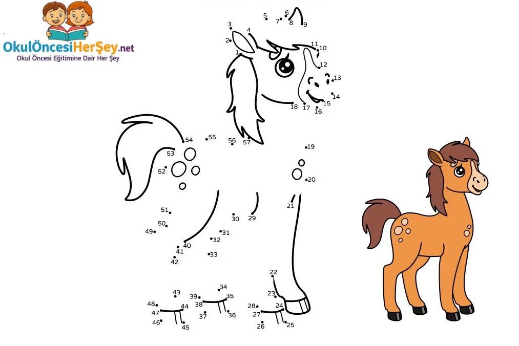 Çizgi Çalışmaları