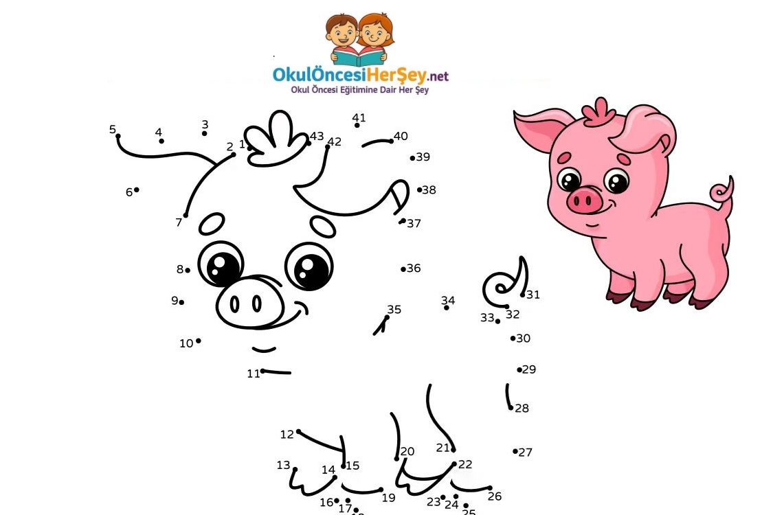 Çizgi Çalışmaları