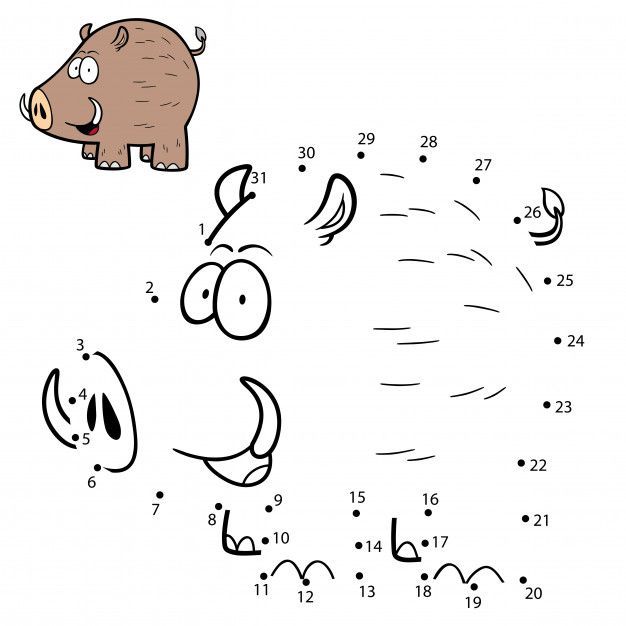 Çizgi Çalışmaları