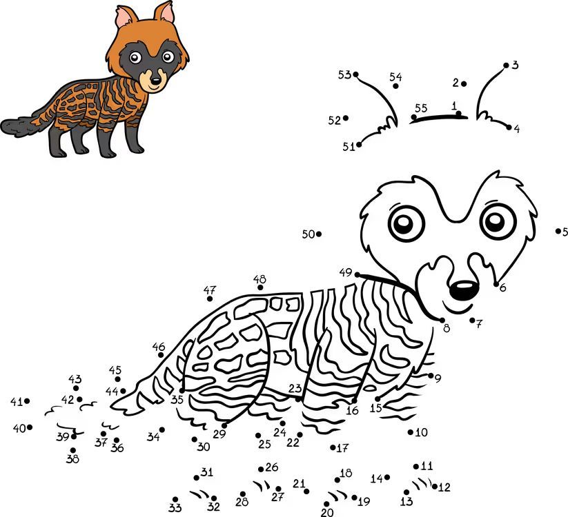 Çizgi Çalışmaları