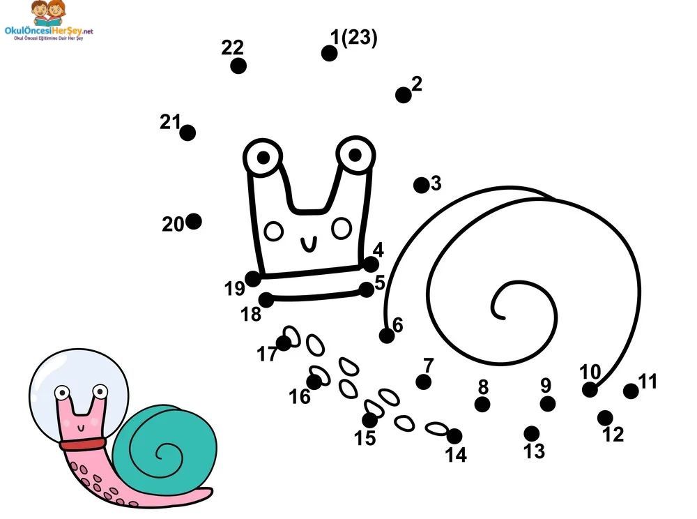 Çizgi Çalışmaları