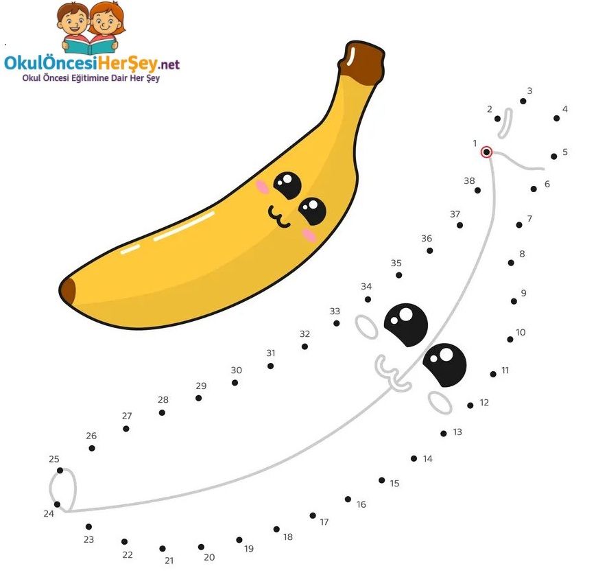 Çizgi Çalışmaları