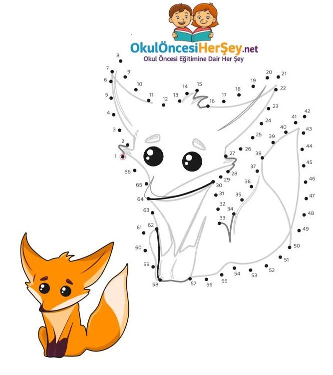 Çizgi Çalışmaları