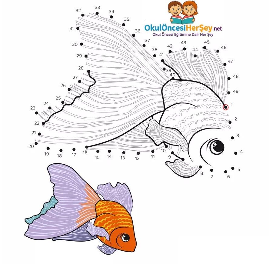 Çizgi Çalışmaları