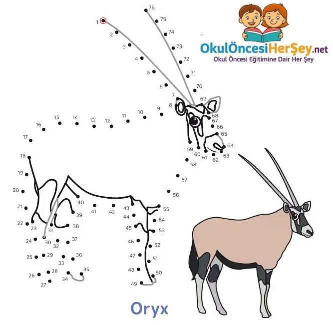 Çizgi Çalışmaları