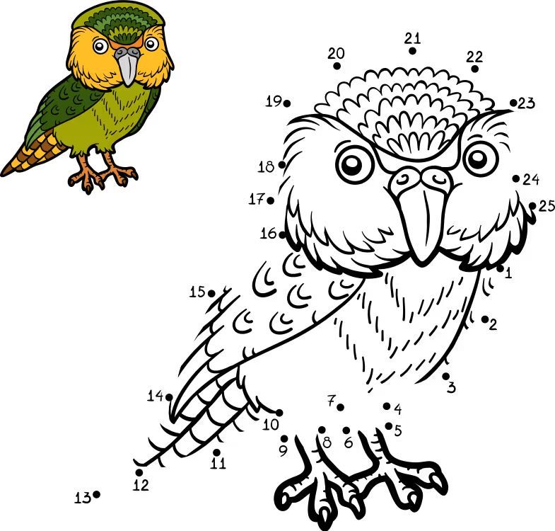 Çizgi Çalışmaları