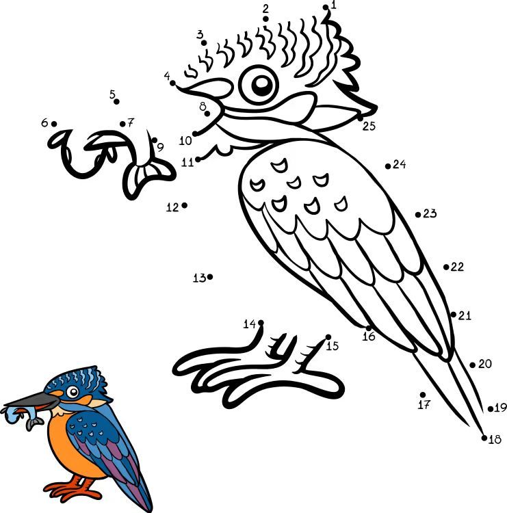 Çizgi Çalışmaları