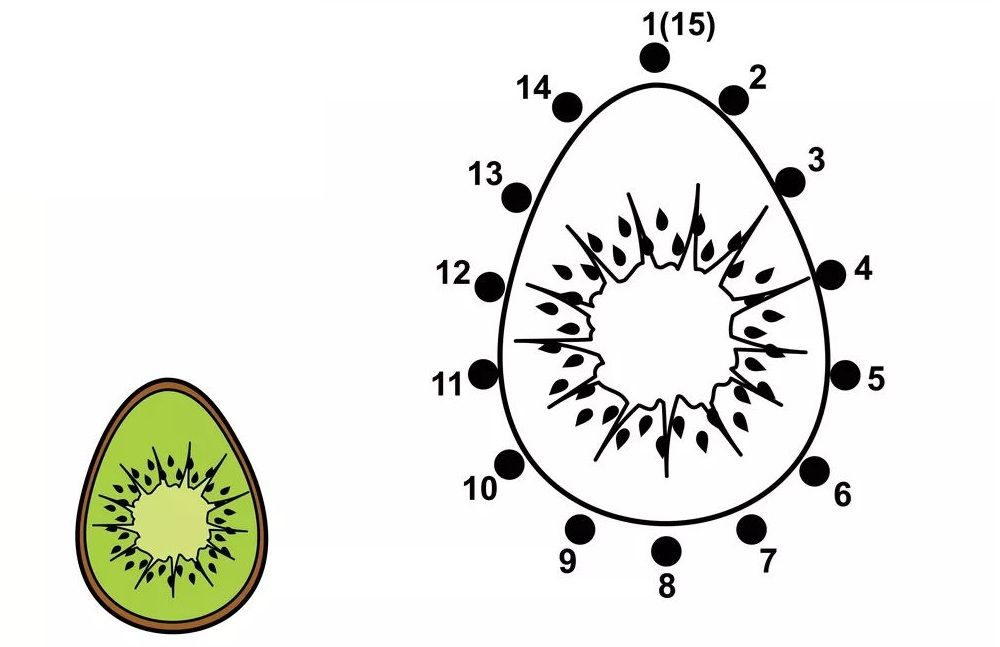 Çizgi Çalışmaları