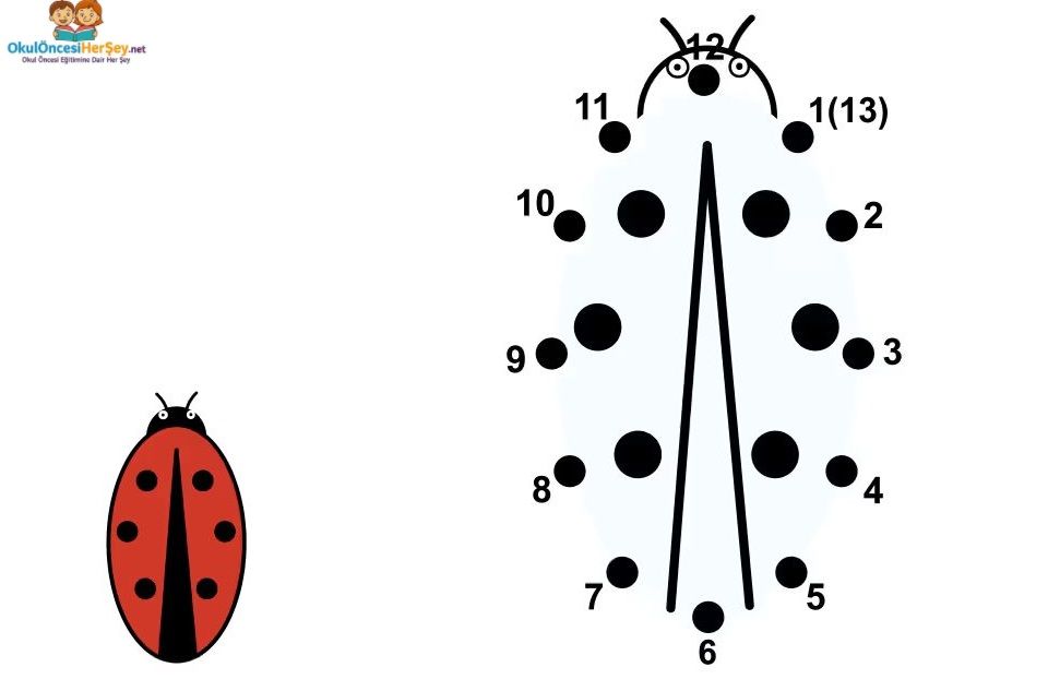 Çizgi Çalışmaları