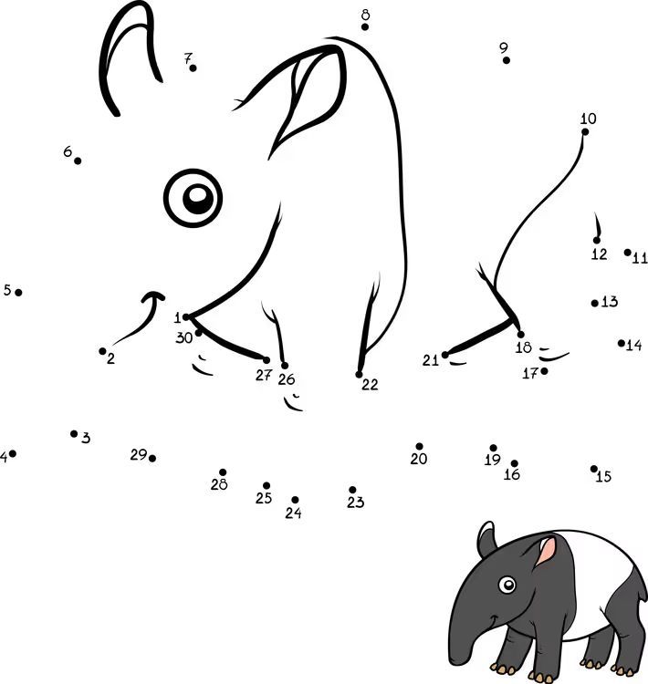 Çizgi Çalışmaları