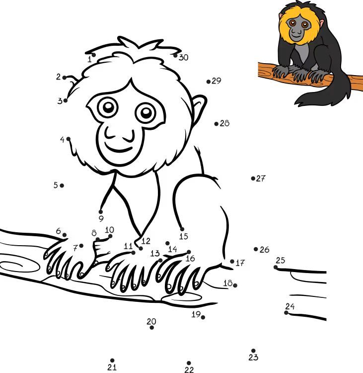 Çizgi Çalışmaları