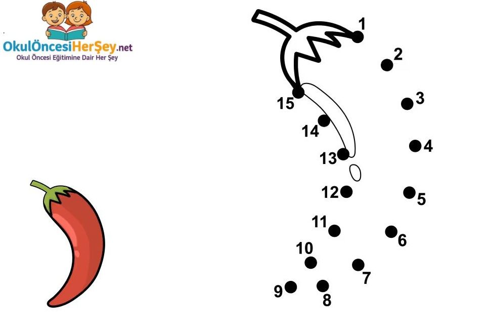 Çizgi Çalışmaları