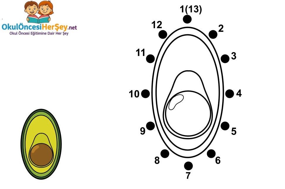 Çizgi Çalışmaları