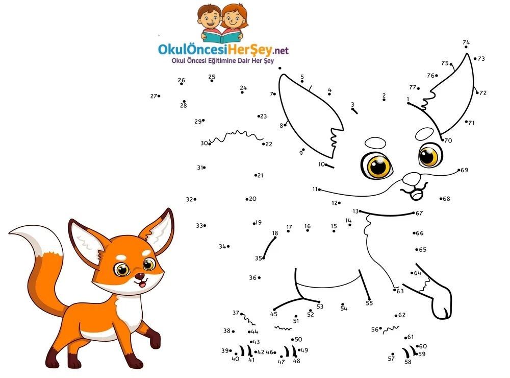 Çizgi Çalışmaları