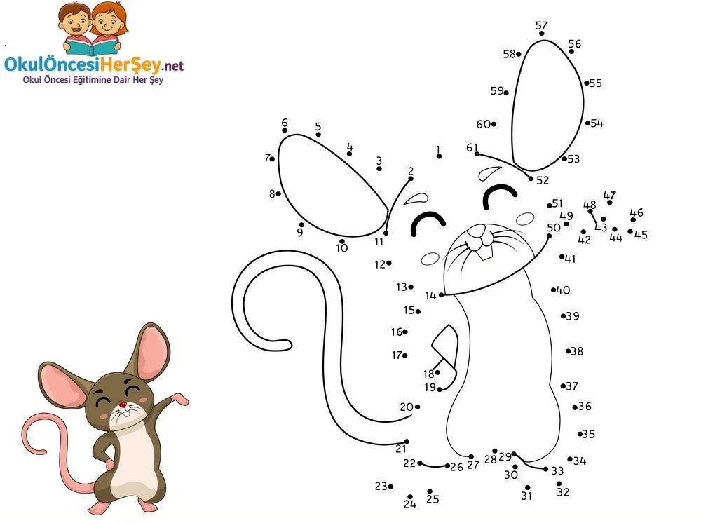 Çizgi Çalışmaları