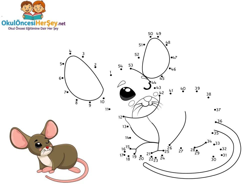 Çizgi Çalışmaları