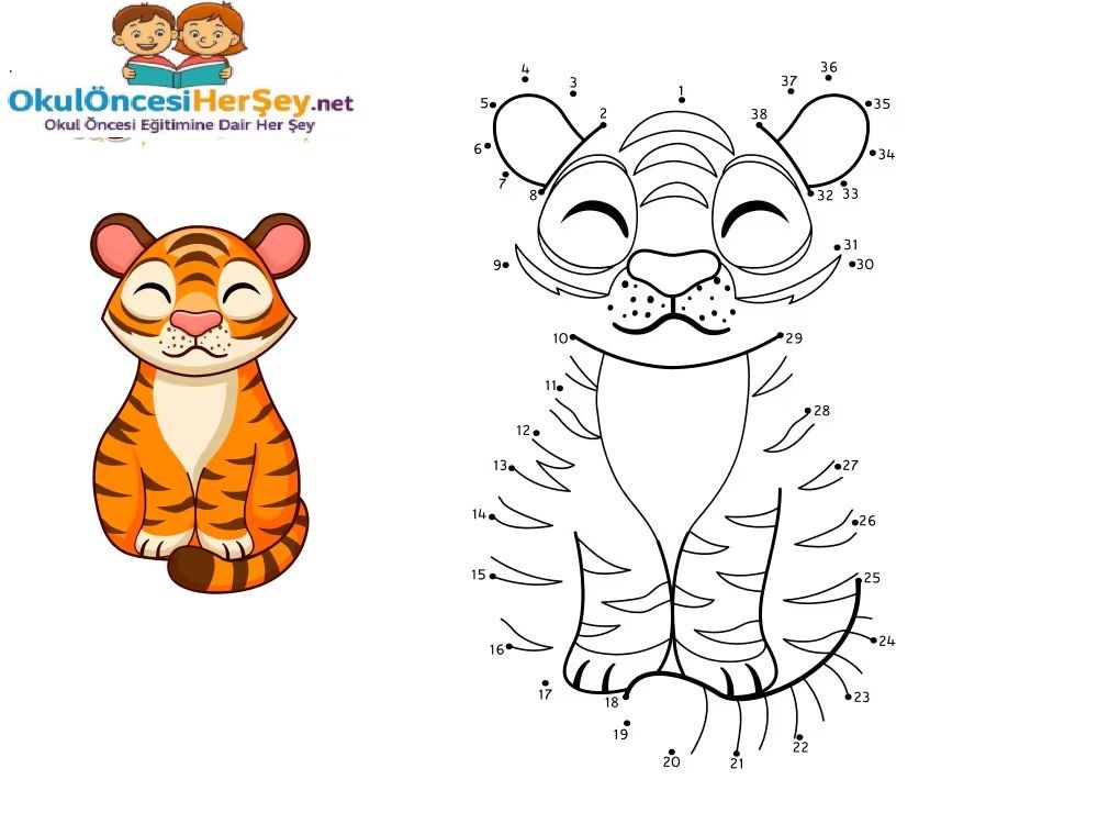 Çizgi Çalışmaları