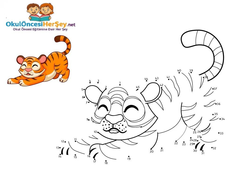 Çizgi Çalışmaları