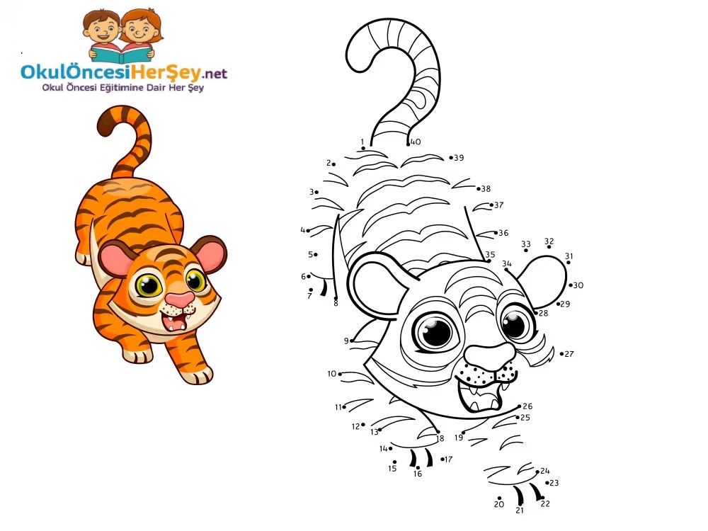 Çizgi Çalışmaları