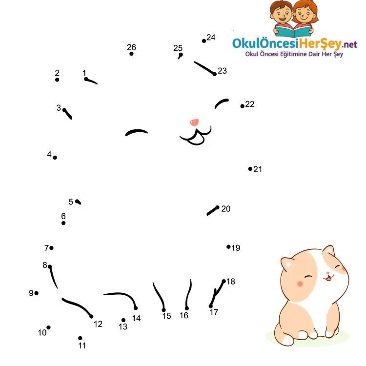 Çizgi Çalışmaları