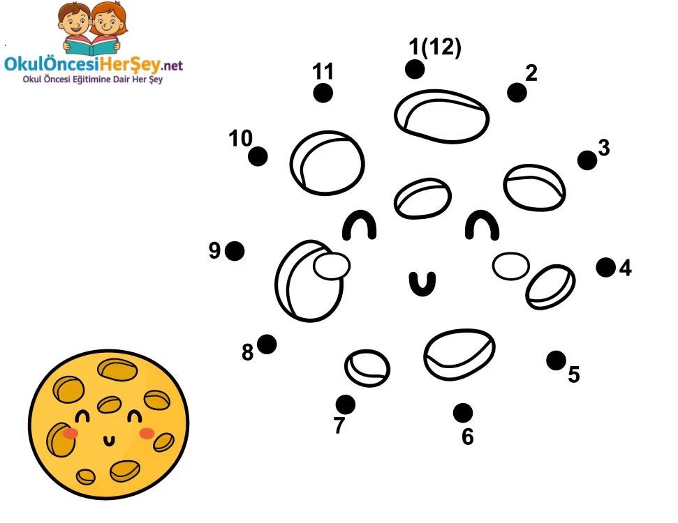 Çizgi Çalışmaları