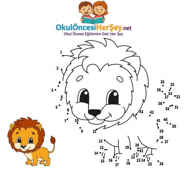 Çizgi Çalışmaları