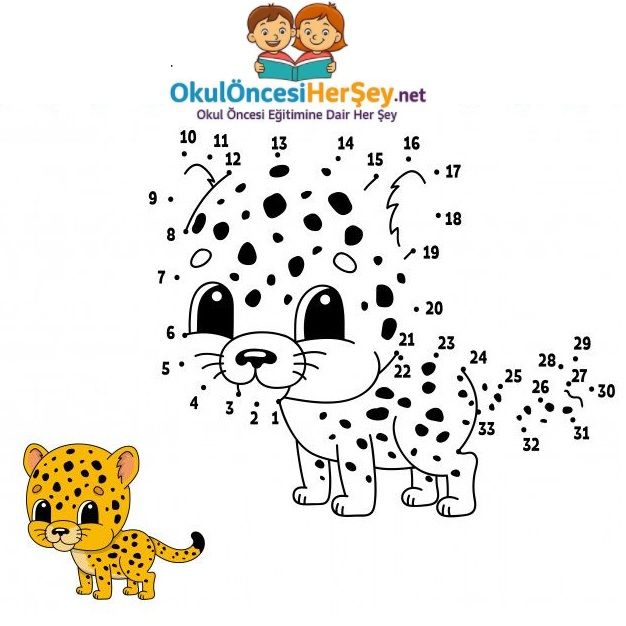 Çizgi Çalışmaları