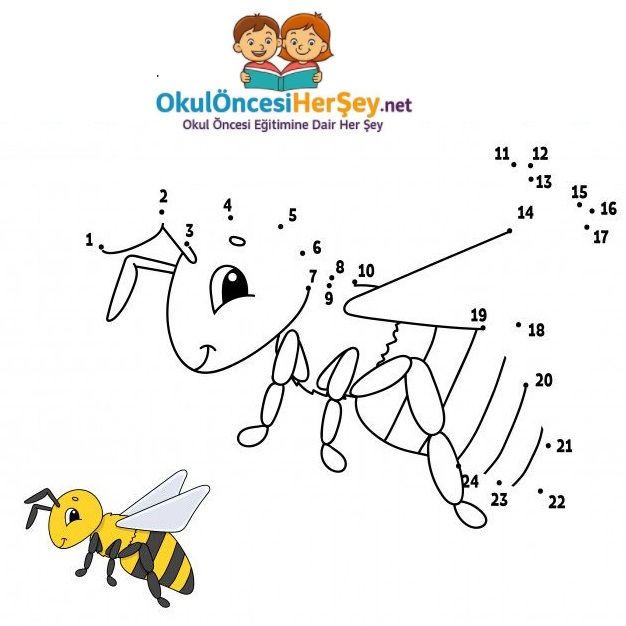 Çizgi Çalışmaları