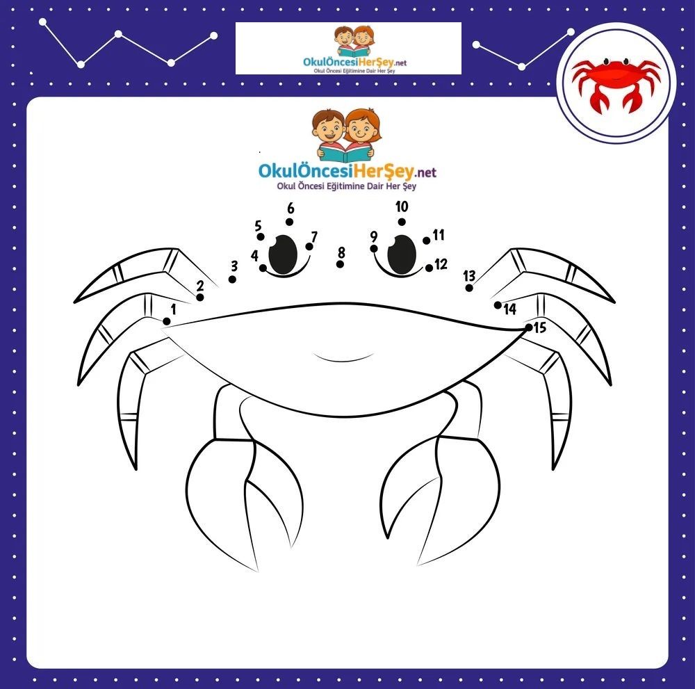 Çizgi Çalışmaları