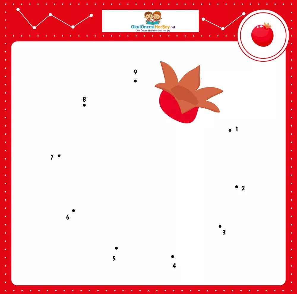 Çizgi Çalışmaları