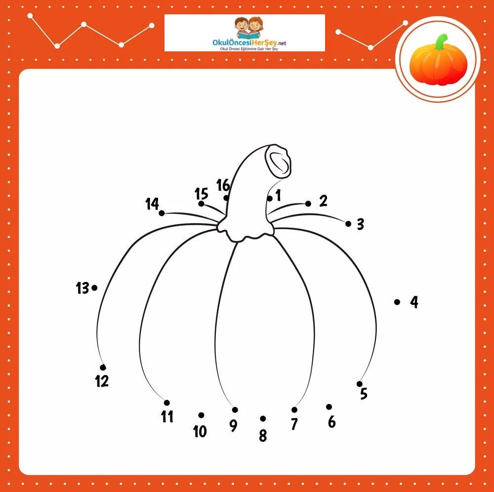 Çizgi Çalışmaları