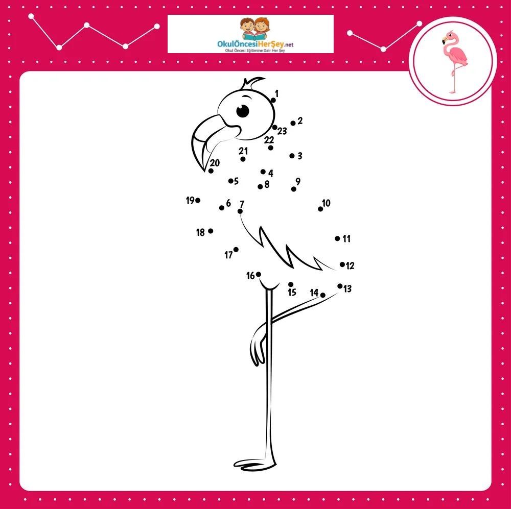 Çizgi Çalışmaları