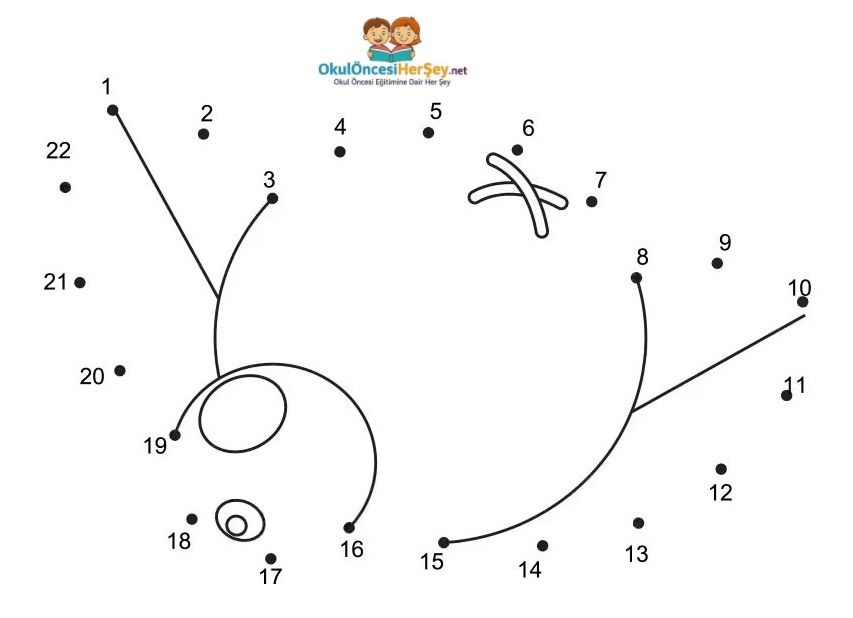 Çizgi Çalışmaları